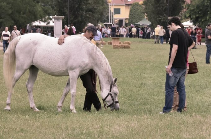 Oasi degli Amici Animali